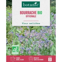 Graines de bourrache officinale bio botanic® - graines à semer