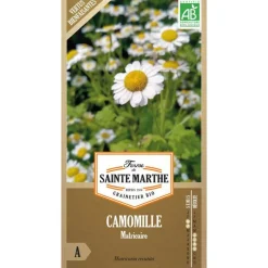 Graines de camomille matricaire bio Ferme de Sainte Marthe - graines à semer