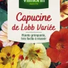 Graines de Capucine de Lobb variée Vilmorin - graines à semer