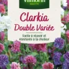 Graines de Clarkia double variée Vilmorin - graines à semer