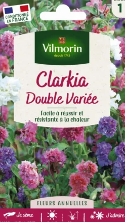 Graines de Clarkia double variée Vilmorin - graines à semer