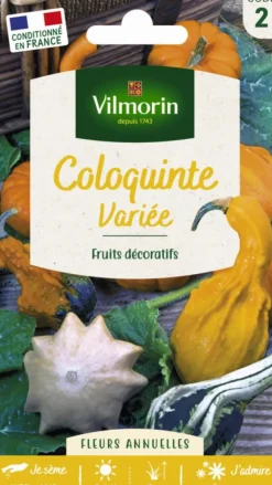 Graines de Coloquinte variée Vilmorin - graines à semer