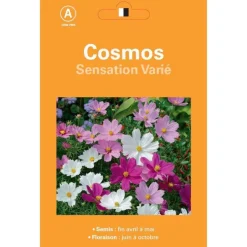 Graines de Cosmos Sensation varié - graines à semer