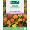 Graines de cosmos sulphureus flashe orange botanic® - graines à semer