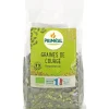 Graines de courge bio - sachet de 250 g
