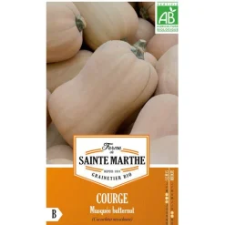 Graines de courge musquée butternut bio Ferme de Sainte Marthe - graines à semer