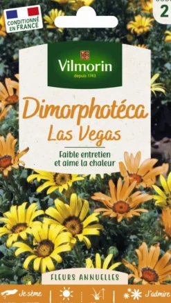 Graines de Dimorphotéca Las Vegas Vilmorin - graines à semer