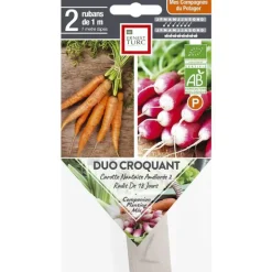 Graines de Duo croquant carotteadis bio Ernest Turc - graines à semer