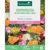 Graines de Eschscholzia de californie simple varié botanic® - graines à semer