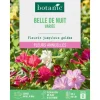 Graines de fleurs Belle de nuit variée botanic®