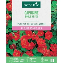 Graines de fleurs Capucine boule de feu botanic®