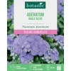Graines de fleurs d'Ageratum boule bleue botanic®