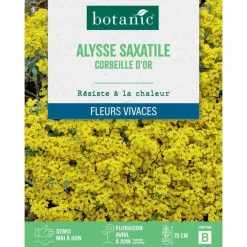 Graines de fleurs d'Alysse saxatile corbeille d'or botanic®
