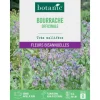Graines de fleurs de Bourrache officinale botanic®