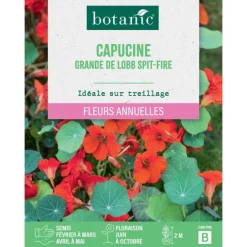 Graines de fleurs de Capucine grande de Lobb spitfire botanic®