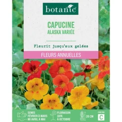Graines de fleurs de Capucine Alaska variée botanic®