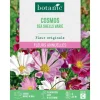 Graines de fleurs de Cosmos sea shells varié botanic®