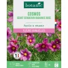 Graines de fleurs de Cosmos géant Sensation radiance rose botanic®
