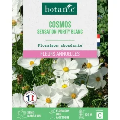 Graines de fleurs de Cosmos sensation purity blanc botanic®