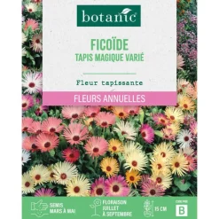 Graines de fleurs de Ficoïde tapis magique varié botanic®