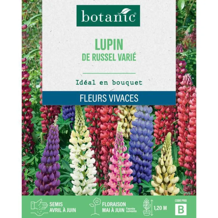 Graines de fleurs de Lupin de Russel varié botanic®