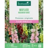 Graines de fleurs de Muflier maximum varié botanic®