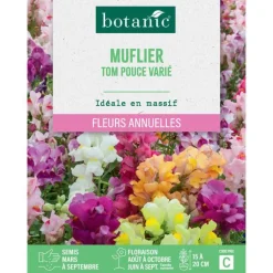Graines de fleurs de Muflier Tom pouce varié botanic®