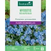 Graines de fleurs de Myosotis des Alpes bleu botanic®