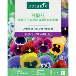Graines de fleurs de Pensée géante de Suisse variée surchoix botanic®