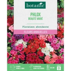 Graines de fleurs de Phlox beauté varié botanic®