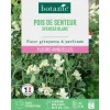 Graines de fleurs de Pois de senteur spencer blanc botanic®