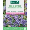 Graines de fleurs de Pois de senteur spencer à grande fleur bleu botanic®