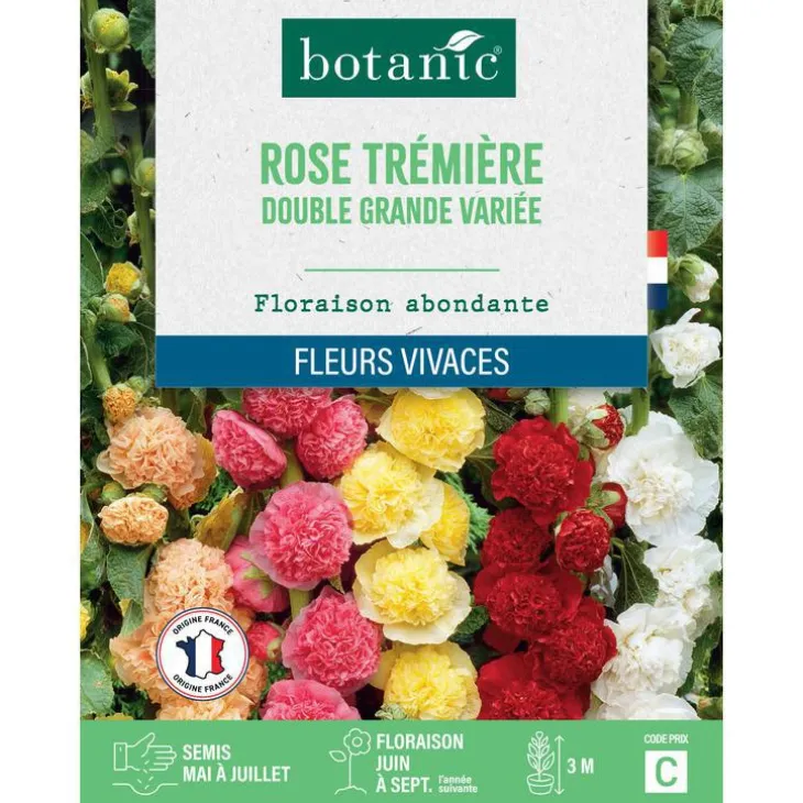 Graines de fleurs de Rose trémière double grande variée botanic®