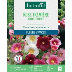 Graines de fleurs de Rose trémière simple variée botanic®