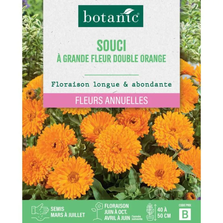 Graines de fleurs de Souci à grande fleur double orange botanic®