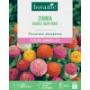 Graines de fleurs de Zinnia double nain varié botanic®