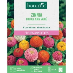 Graines de fleurs de Zinnia double nain varié botanic®