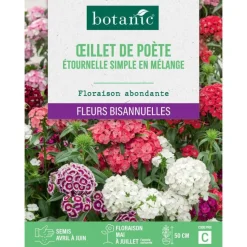 Graines de fleurs d'Œillet de poète étournelle simple en mélange botanic®