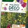 Graines de fleurs en mélange décor terrain sec 50 m² Vilmorin - graines à semer