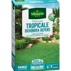 Graines de gazon à semer pelouse tropicale dichondra repens Vilmorin - 500 g