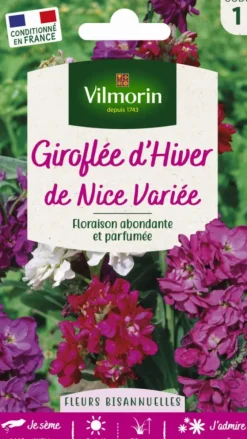 Graines de Giroflée d’hiver de Nice variée Vilmorin - graines à semer