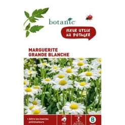 Graines de grande marguerite blanche botanic® - graines à semer