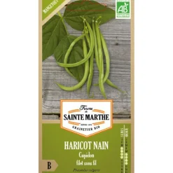Graines de Haricot nain Cupidon bio Ferme de Sainte Marthe - graines à semer