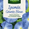 Graines de Ipomée Géante Bleue Vilmorin - graines à semer