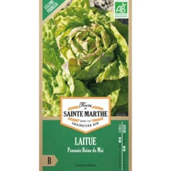 Graines de laitue pommée grosse blonde paresseuse bio Ferme de Sainte Marthe - graines à semer
