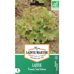 Graines de Laitue pommée Saint Antoine bio Ferme de Sainte Marthe - 500 graines à semer