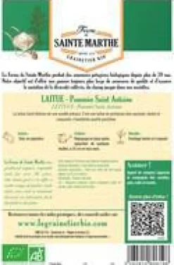 Graines de Laitue pommée Saint Antoine bio Ferme de Sainte Marthe - 500 graines à semer