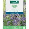 Graines de lavande variée botanic® - graines à semer