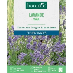Graines de lavande variée botanic® - graines à semer