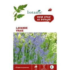 Graines de lavande variée botanic® - graines à semer